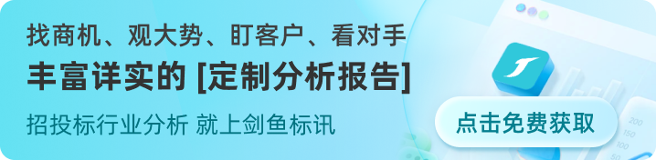 定制分析报告